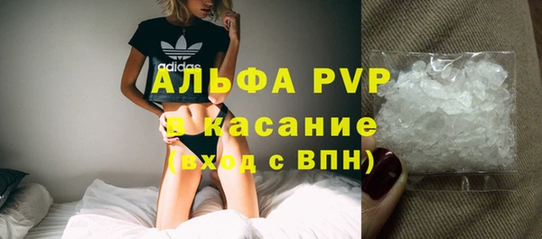 стаф Инта