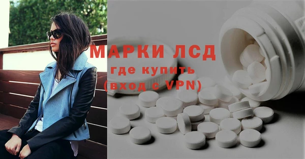стаф Инта