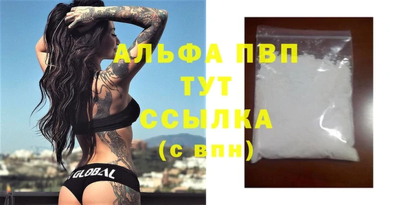 стаф Инта