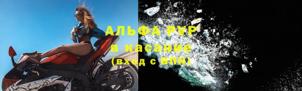 стаф Инта