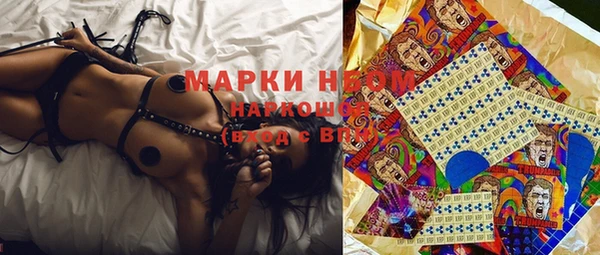 spice Инсар