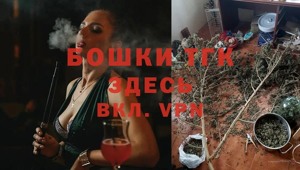 стаф Инта