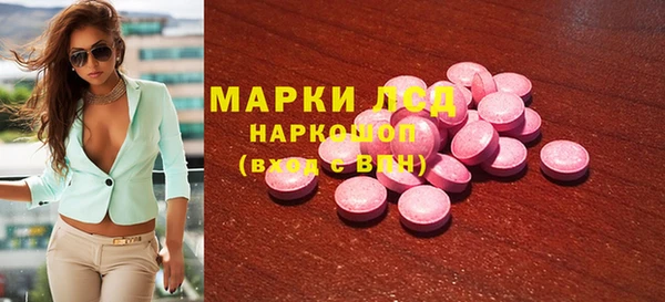 стаф Инта