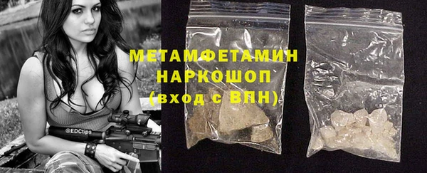 стаф Инта