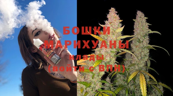 стаф Инта