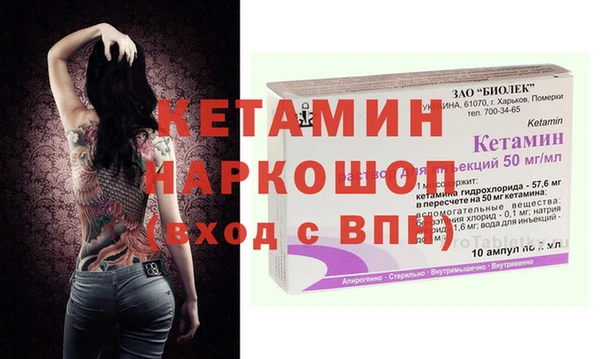 стаф Инта