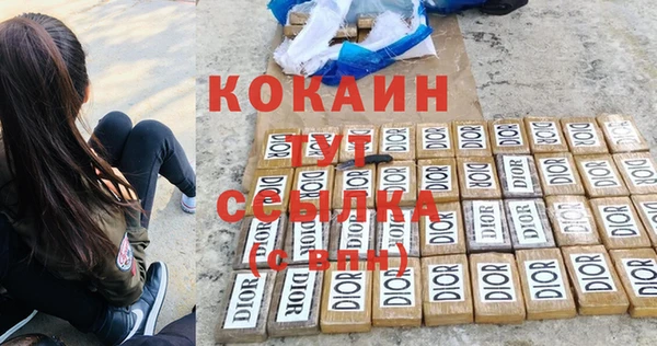 spice Инсар