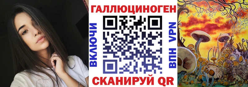 Купить где  Власиха  Галлюциногенные грибы Psilocybe 
