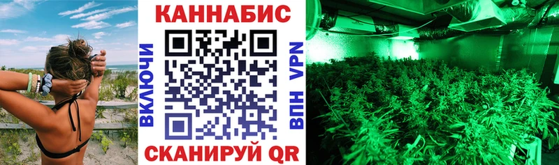 Бошки марихуана планчик Власиха